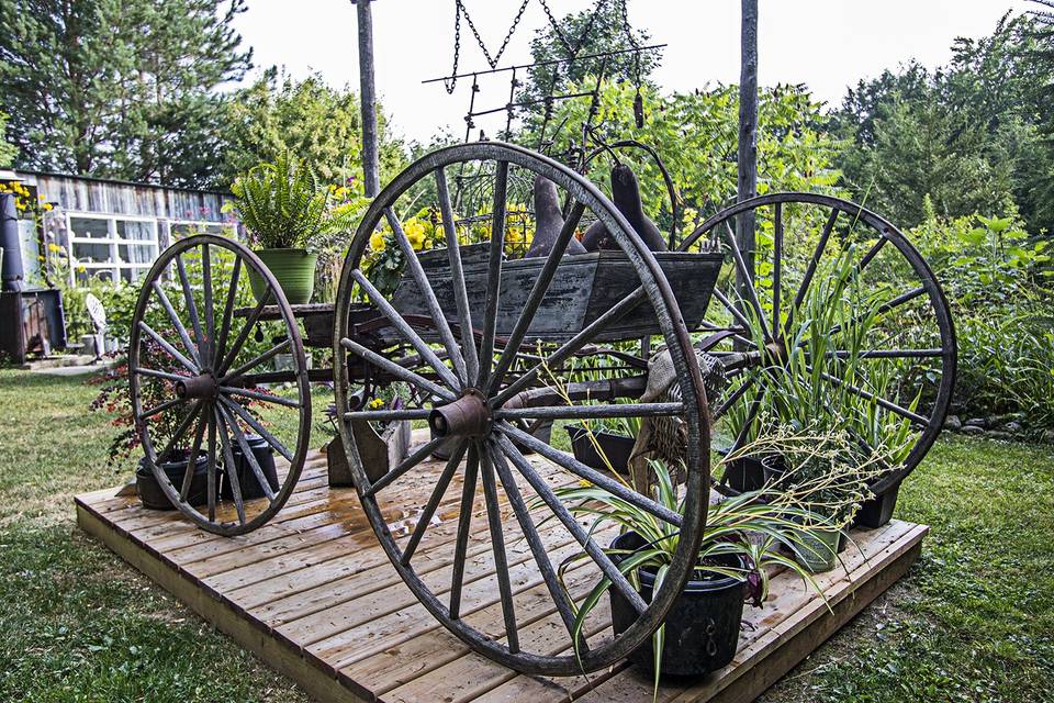 Antique Carriage for Photos