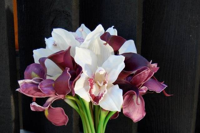 Iris and cymbidium orchids