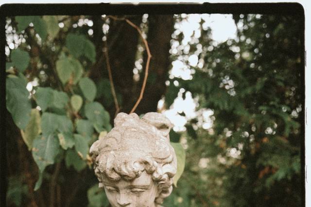 Victoria Pietsch Photography