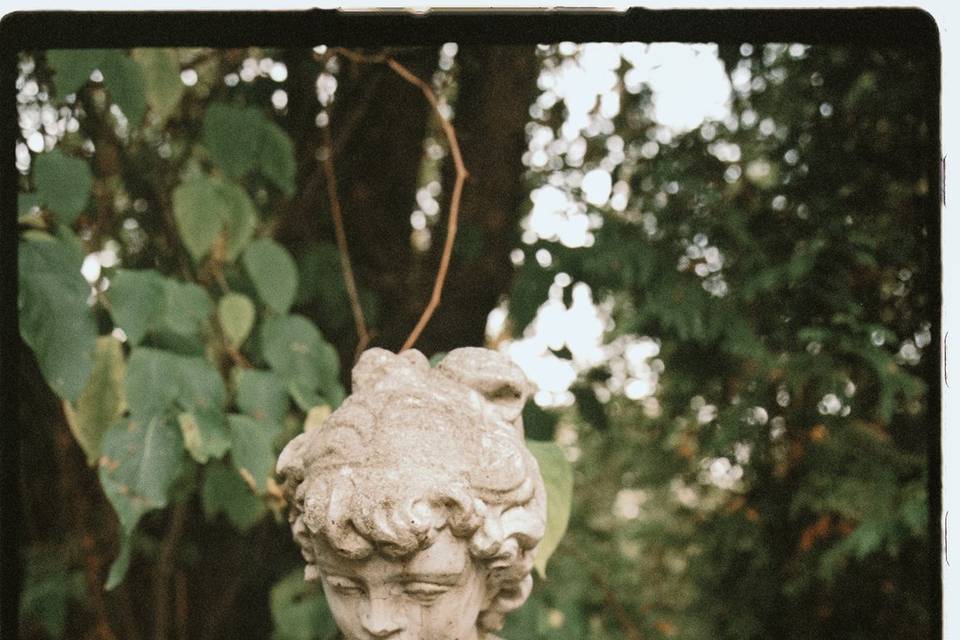 Victoria Pietsch Photography