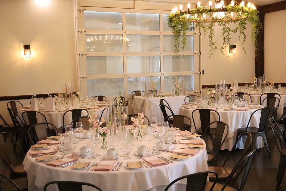 Canespring Reception