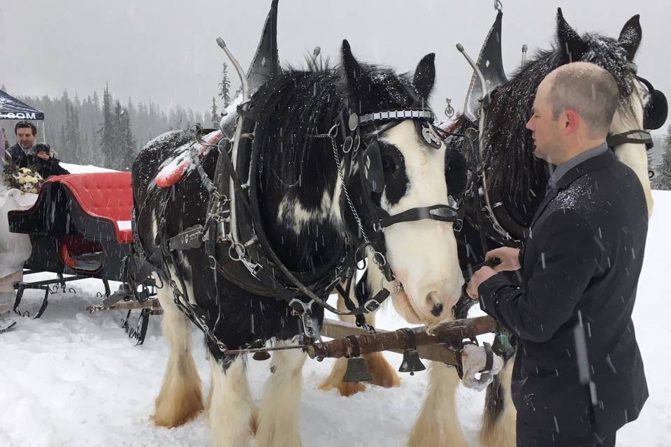 Sleigh ride to the altar