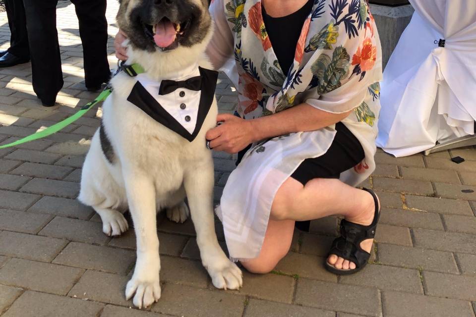 Four-legged ring bearer