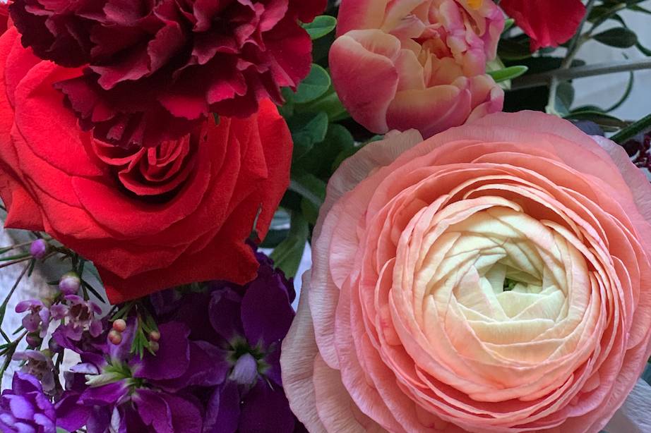 Poppies and carnations