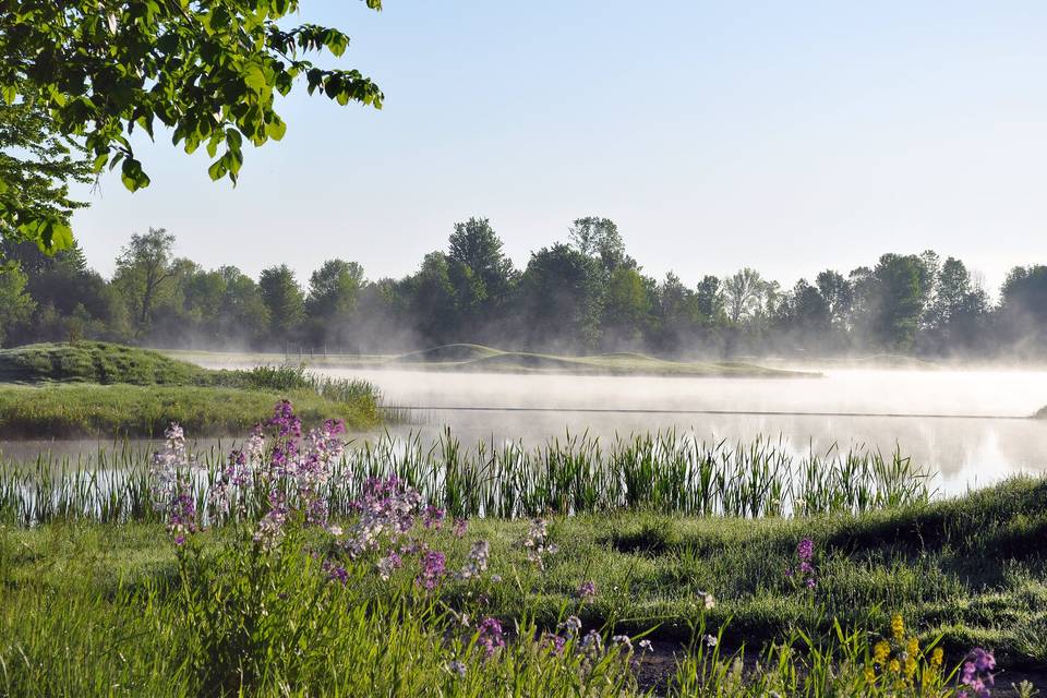 Lake view