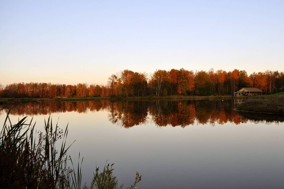 Lake view in the autumn