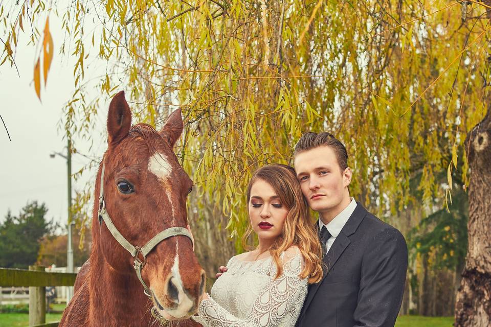 Horse's photo op