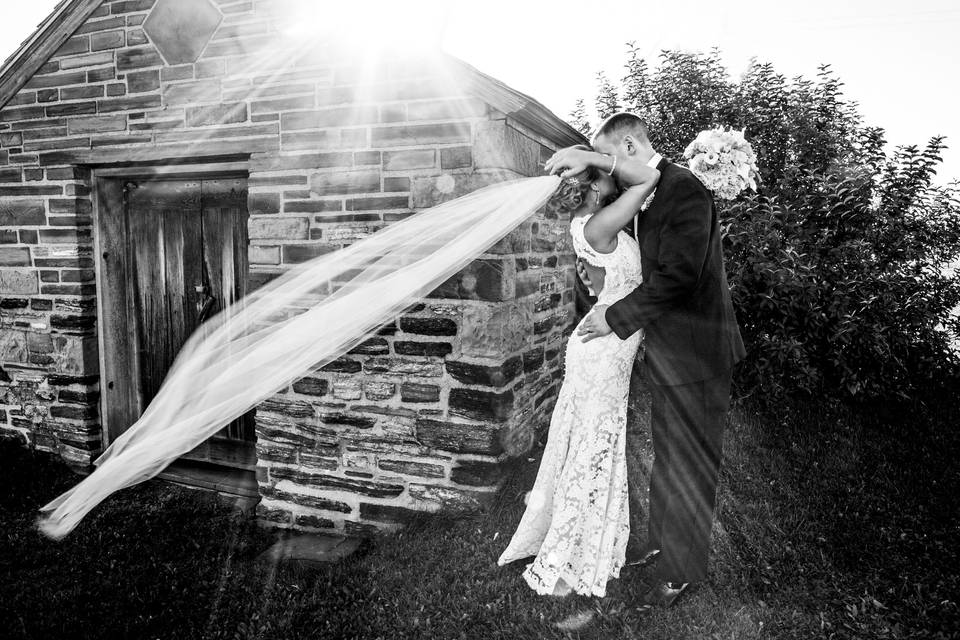 BW wedding veil blowing