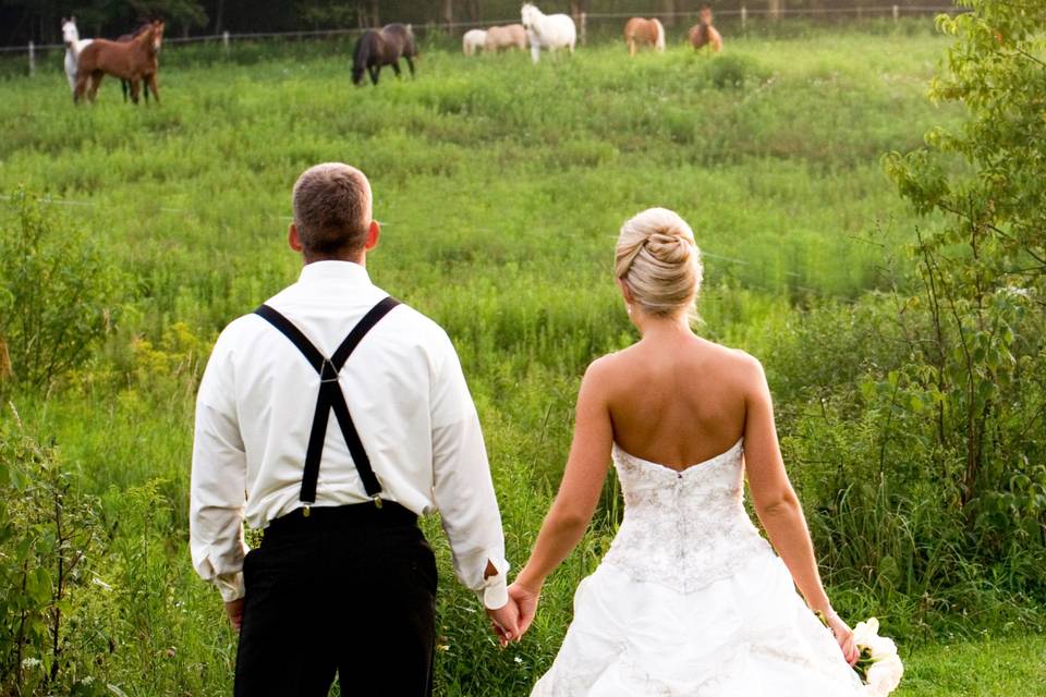 Bride & Groom watch horses