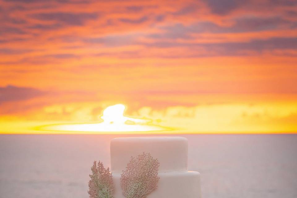 Sunset cake backlit against la