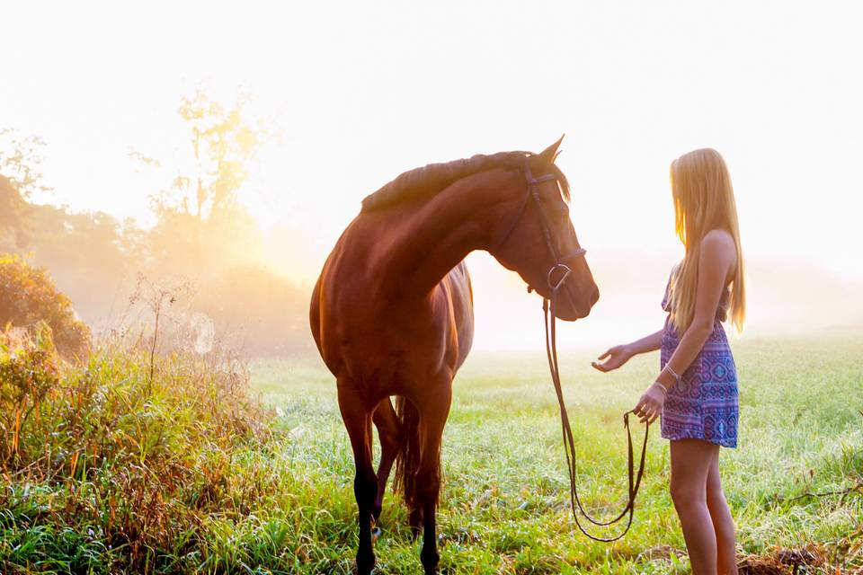 A Girl and Her Horse