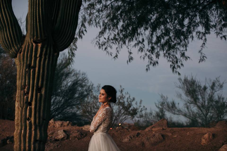 Arizona, destination wedding