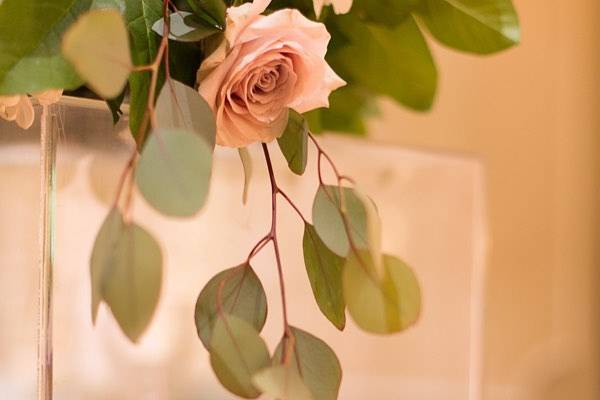 Wedding decor & flowers