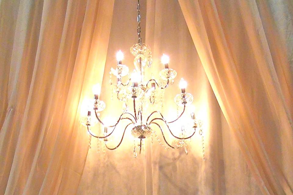 Sultana's Wedding Decor