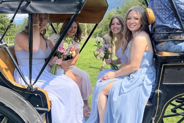 Bride Sara's Bridesmaids!