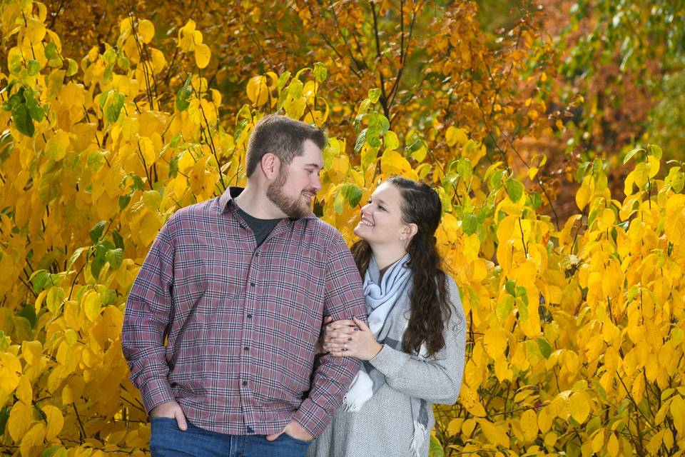 Forest preserve engagement