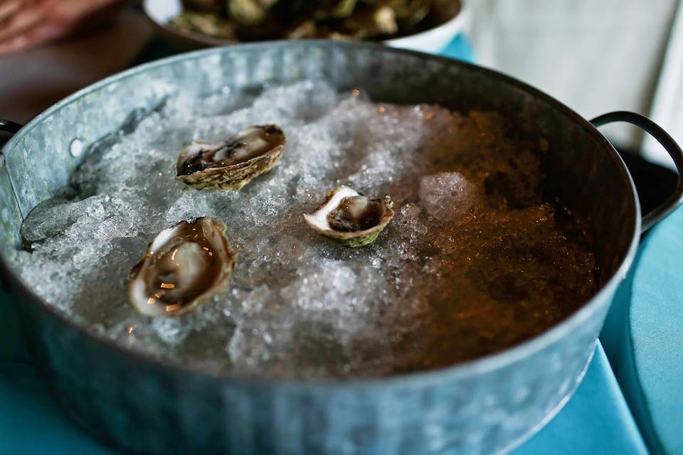 Oyster Shucking Bar