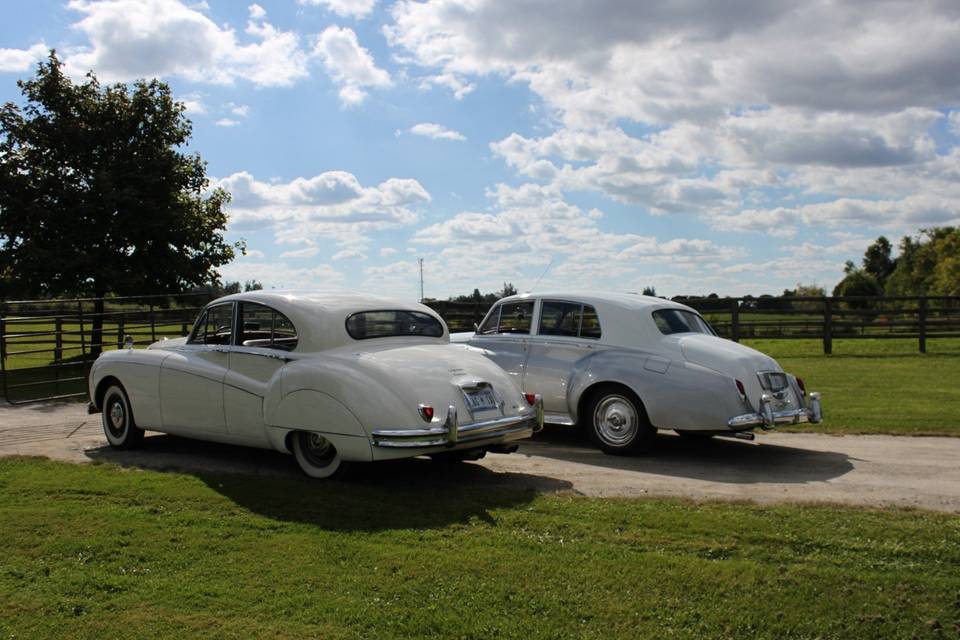 Cedar Valley Limousine