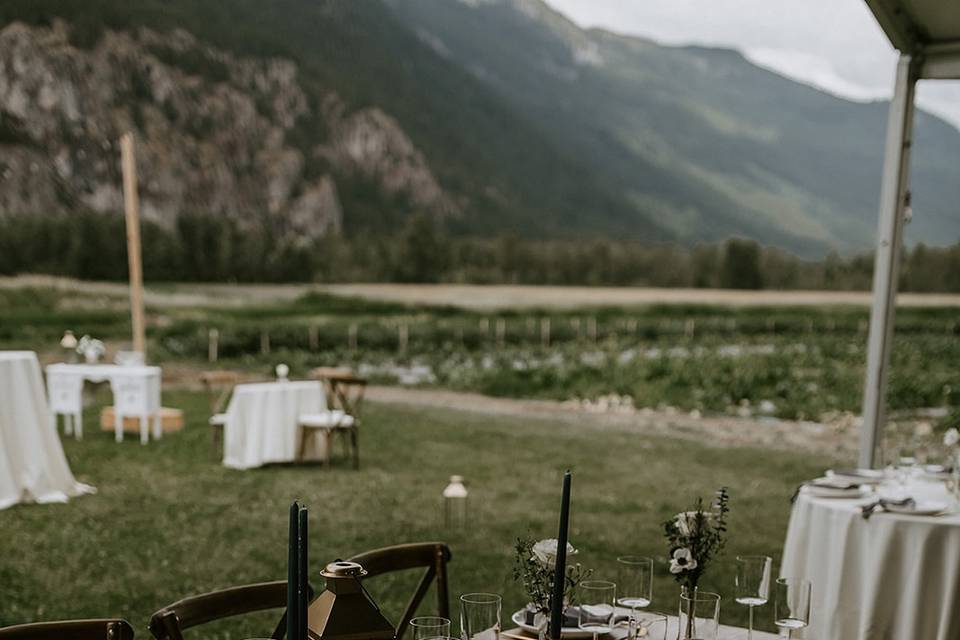 Harvest table