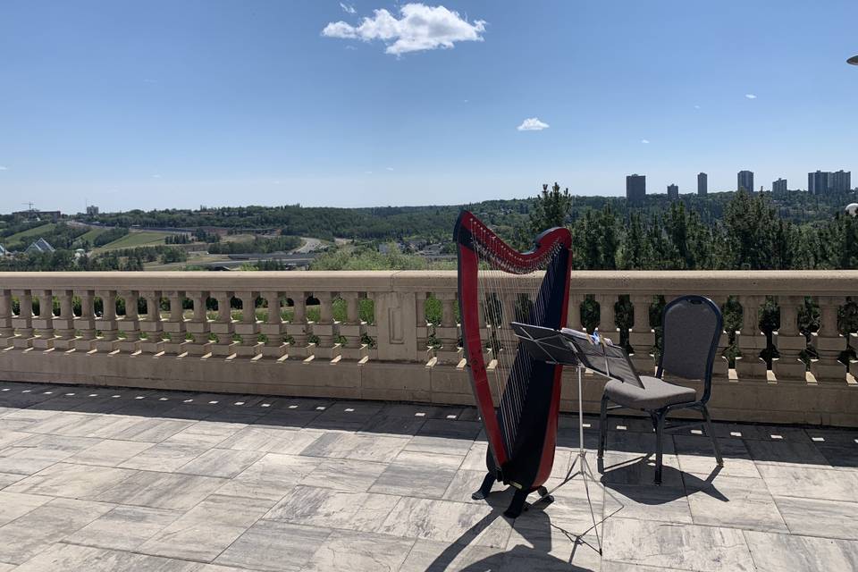 Harp on the Hotel Mac Terrace