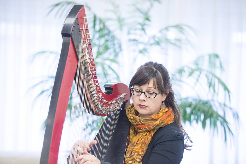 Keri Lynn Zwicker - Harpist