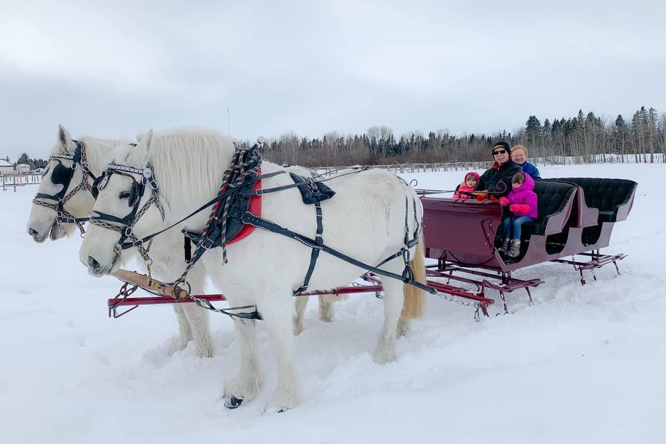 The Vis-a-Vis sleigh