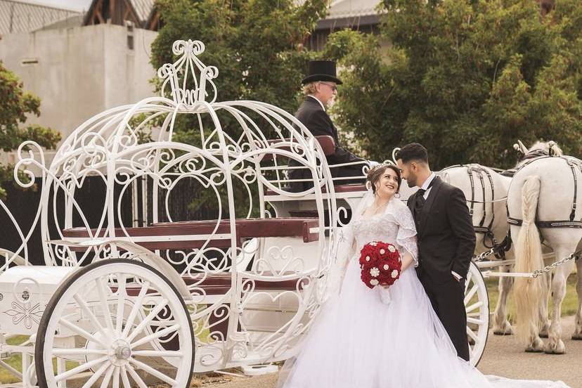 Iron Horse Turtle Ranch Carriage and Sleigh Service