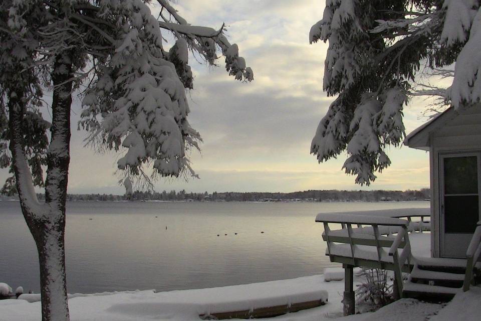 Chickadee cottage in winter