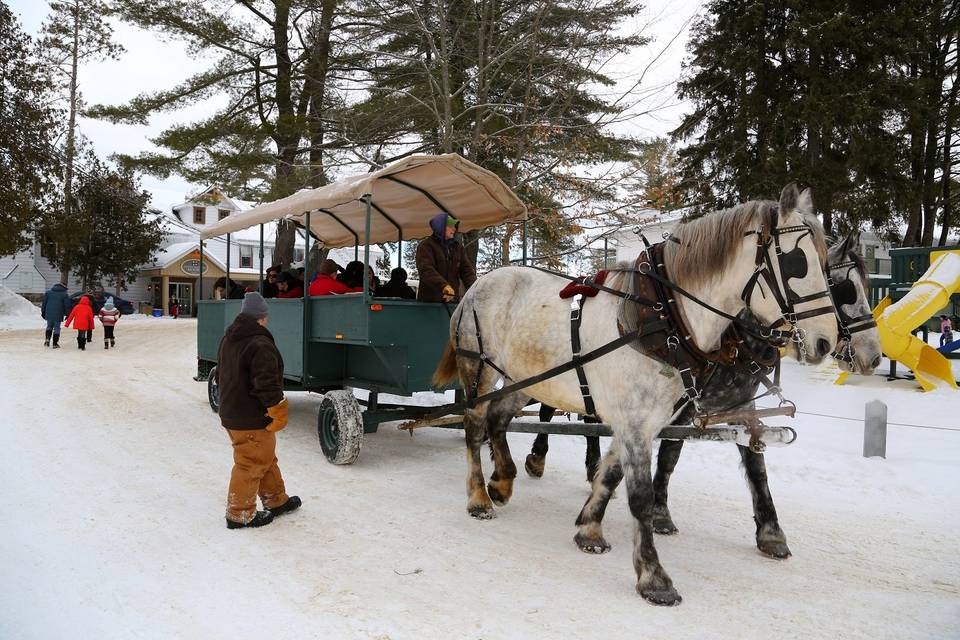 Winter horse and wagon rides