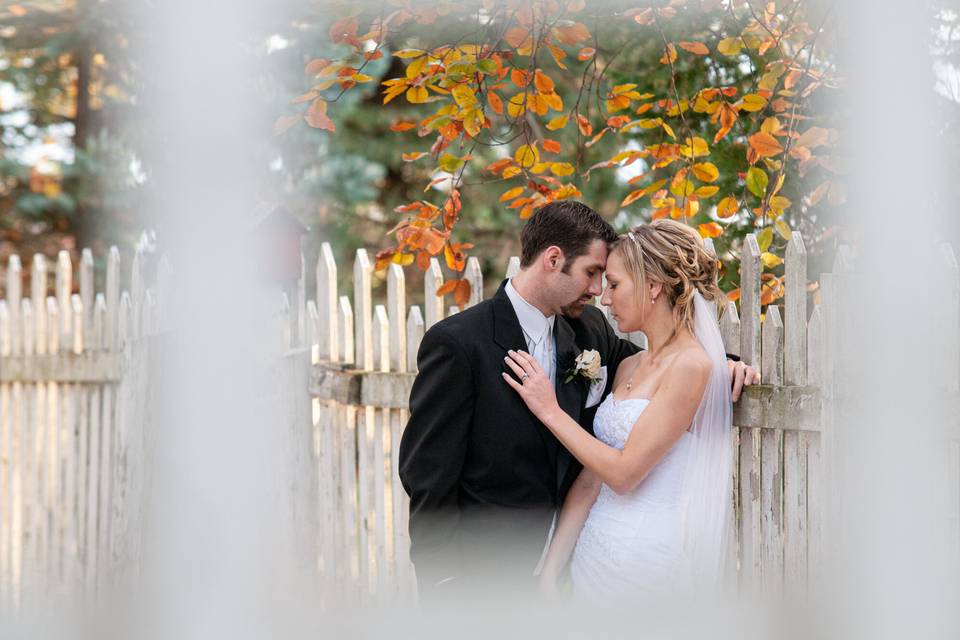 Looking through the fence