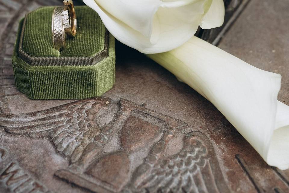 Rings photo