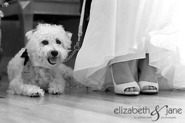 Elizabeth & Jane Photography