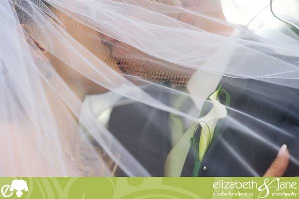Bride and groom through the veil.jpeg