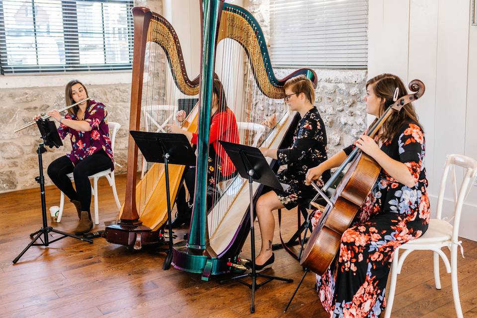 The Soenen Sisters - Harp Flute and Cello Trio