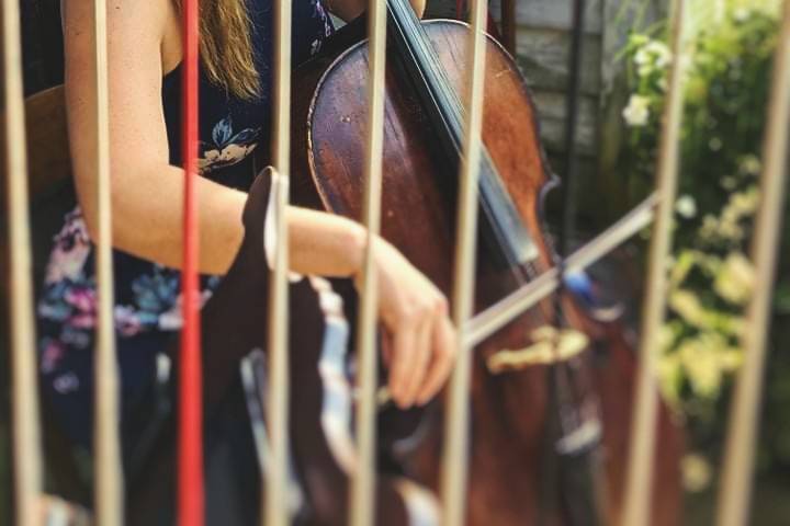 Cello