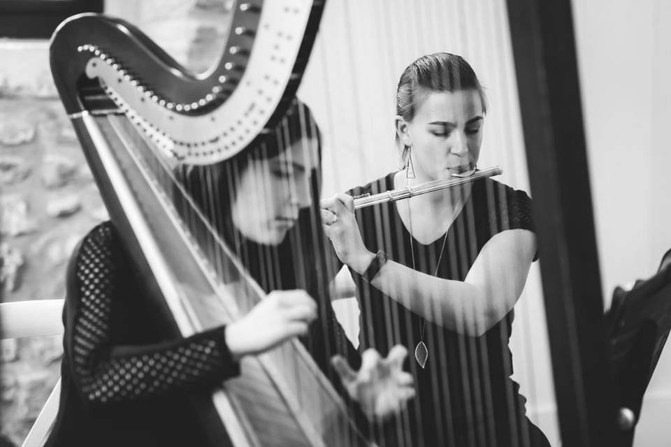 The Soenen Sisters - Harp Flute and Cello Trio