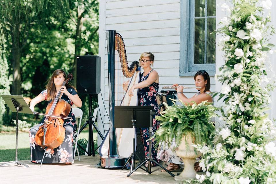 The Soenen Sisters - Harp Flute and Cello Trio