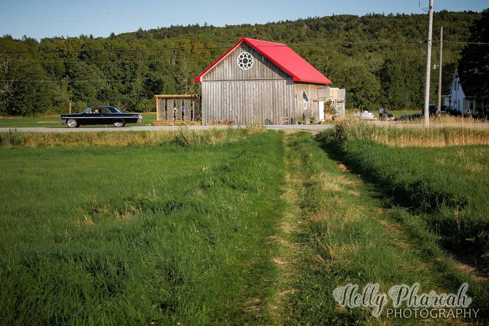 The Barn at Sadie Belle Farm