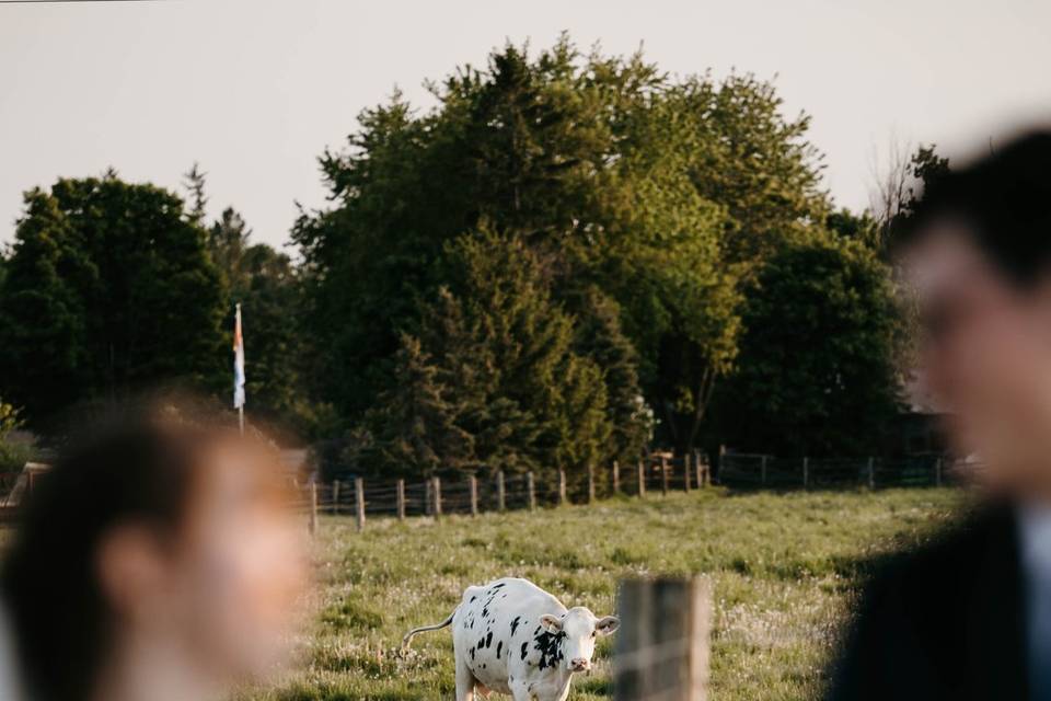 Farm wedding