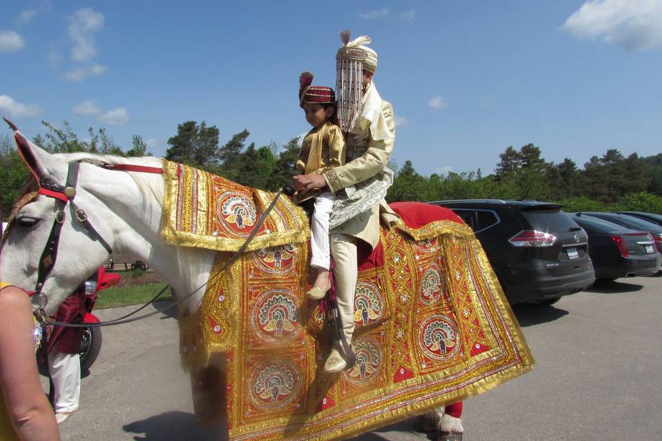 Groom coming on a horse!