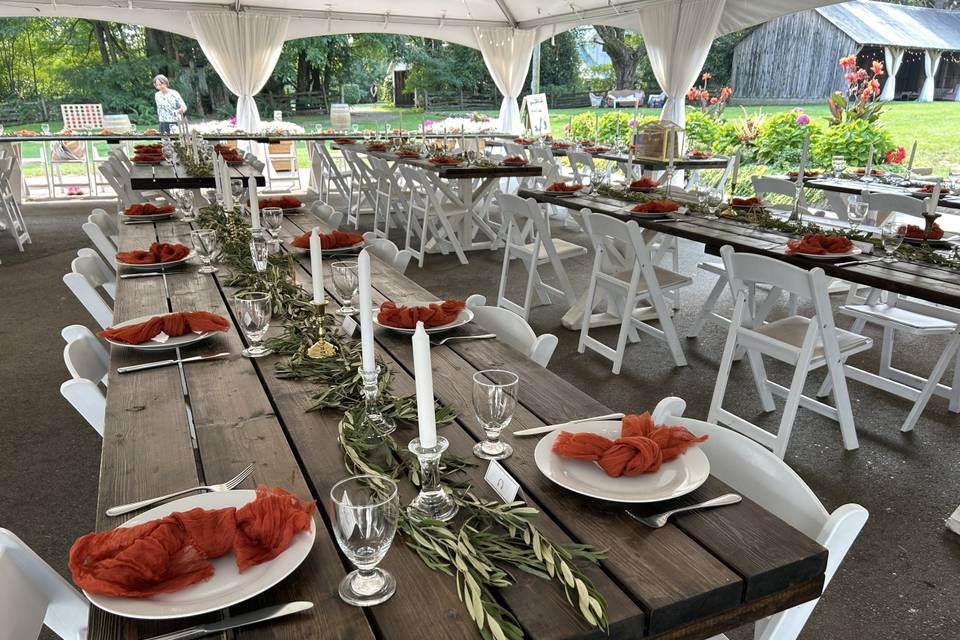 Reception olive branches