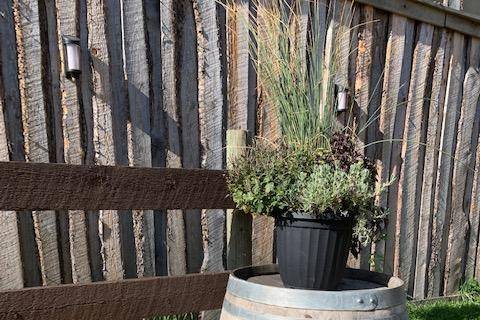 Fall Decor