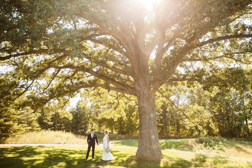 Wedding sunset