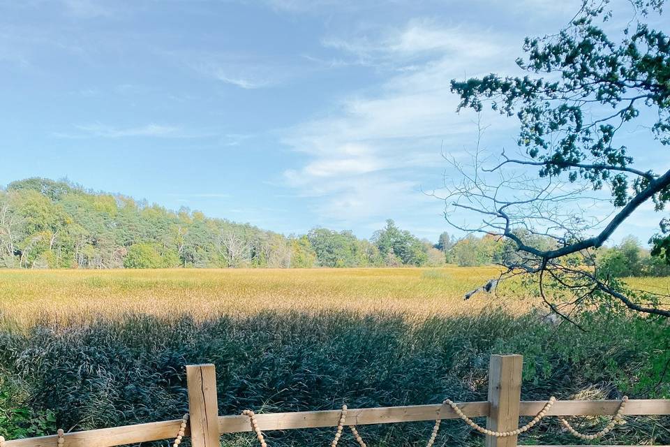 Wallflower Bell Tent views