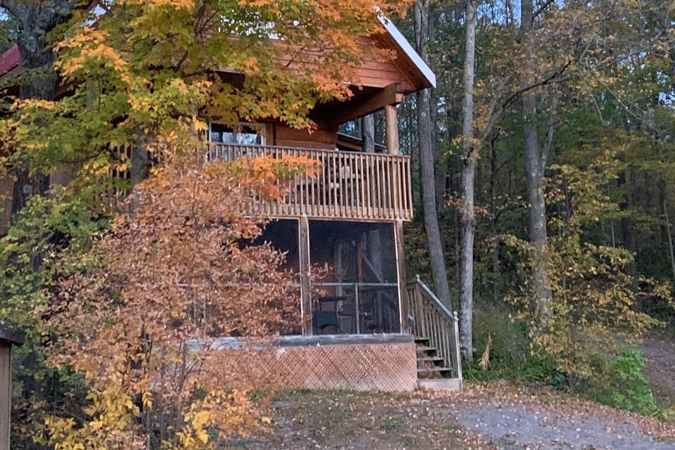 Log Cabin - newlywed cabin