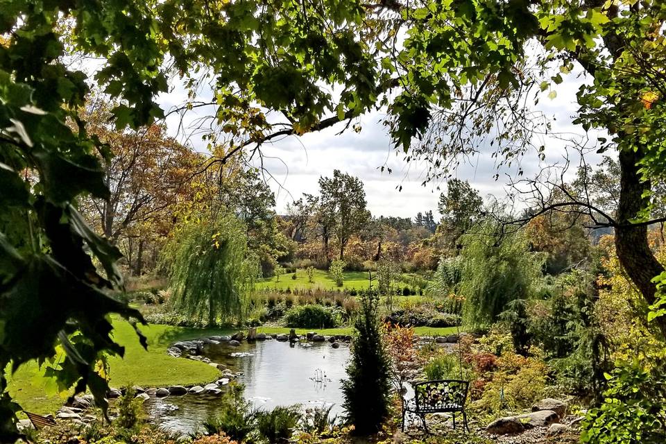 Pond in early autumn