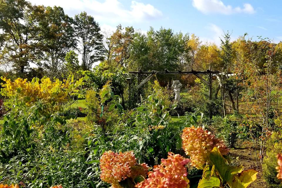 Autumn at Meadow View