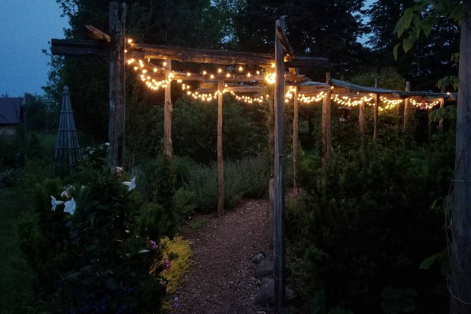 Fairy lights on Clemetis arbor