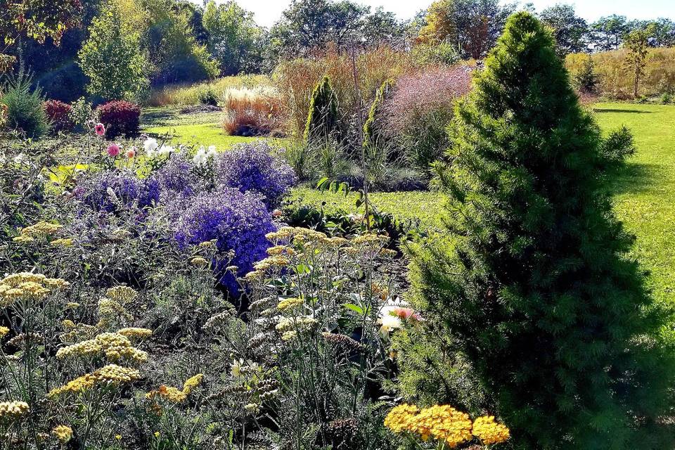 Cottage Garden