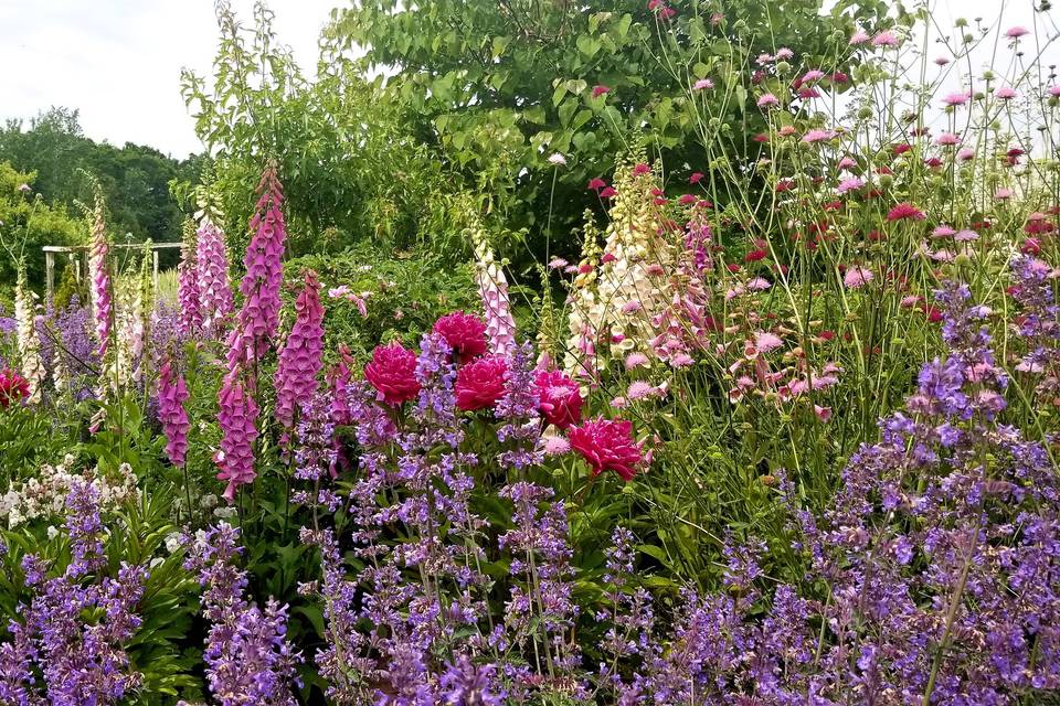 Cottage Garden